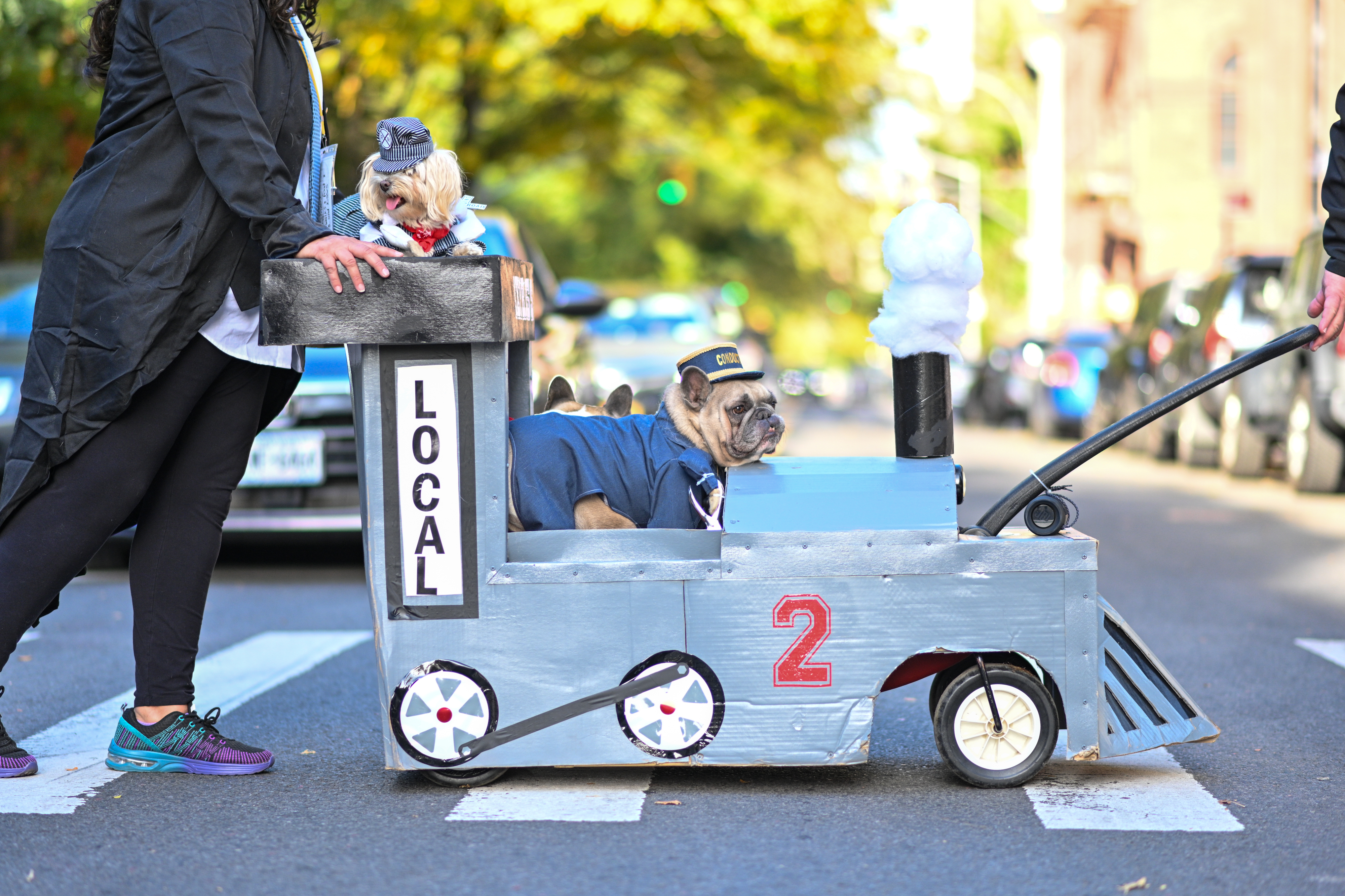 Dianne Ferrer and Tim Lawson wheel french bulldogs, Carly and Max all dressed as a train and the conductors. (Photo by Alexi Rosenfeld/Getty Images)