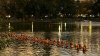 Annual Pumpkin Flotilla Brings Harlem Residents Together