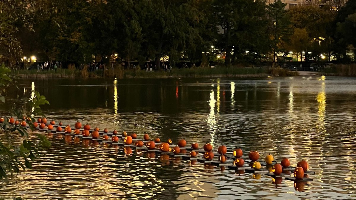 Annual Pumpkin Flotilla Brings Harlem Residents Together NBC New York