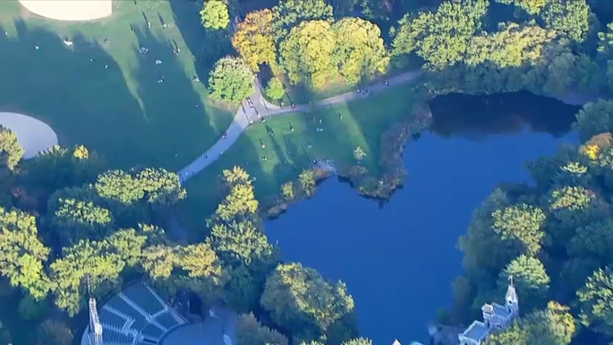 Central Park News: Body Found in Turtle Pond – NBC New York - Vimarsana News