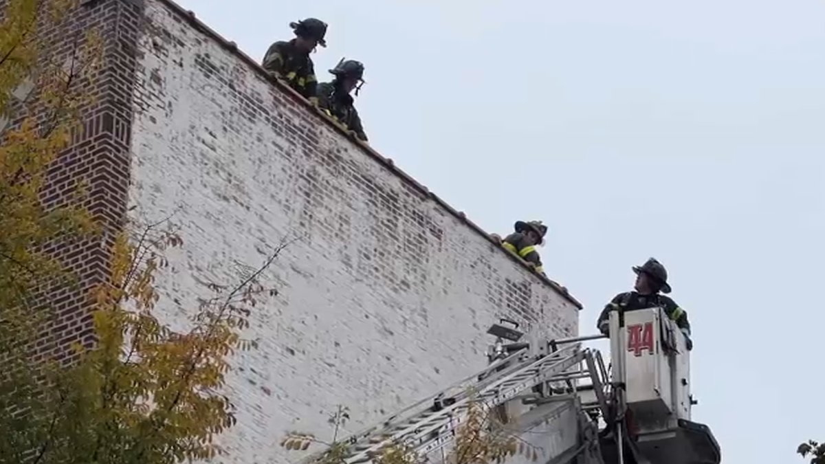Bronx Firefighters Save Mother, Daughter From Apartment Blaze – NBC New ...