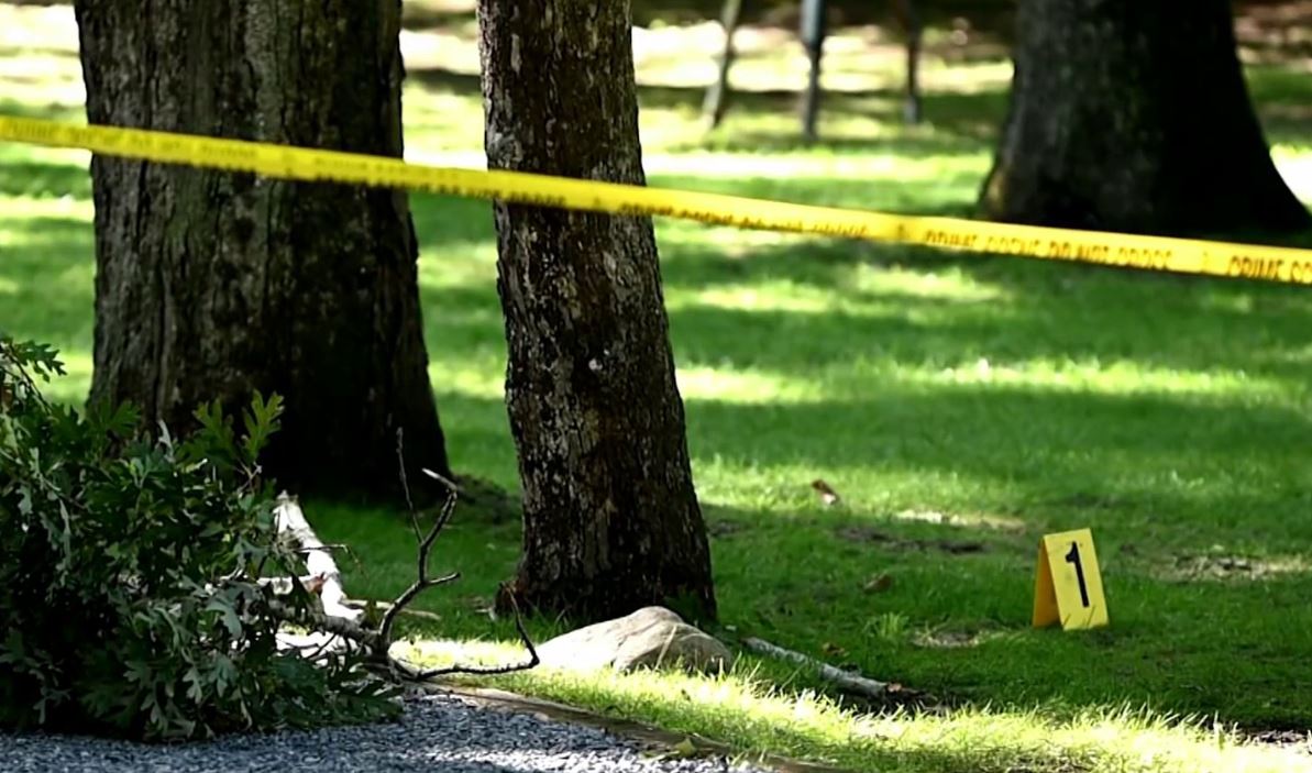 East Hampton Plane Crash Victim Identified as Kent Fuerring NBC New York