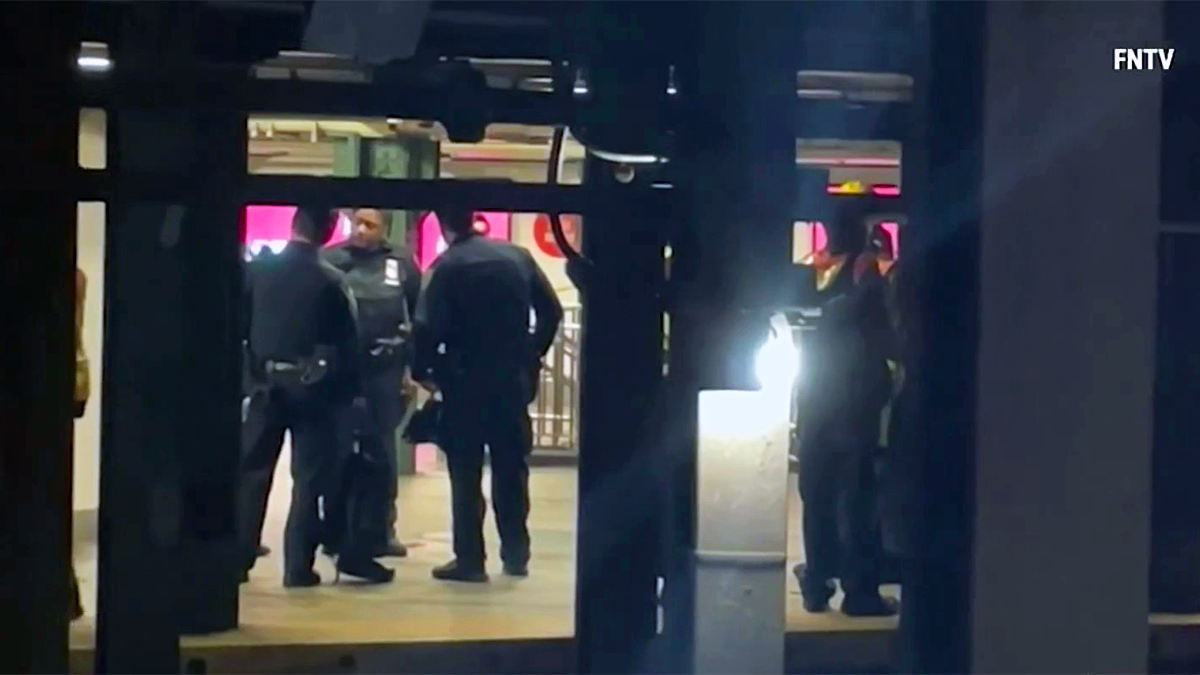 NYC Subway Rider Racing for Rush Hour Train Dragged to Death in Freak Accident - NBC New York