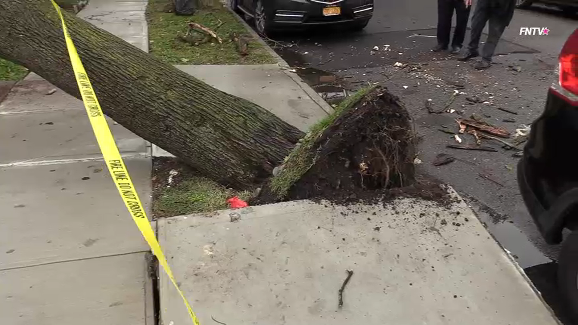 Large Tree Crashes Down Onto Queens Home – NBC New York