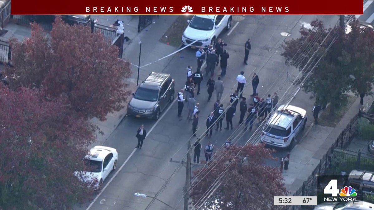 Police Sources: Man Shot by NYPD Allegedly Armed With Machete – NBC New ...