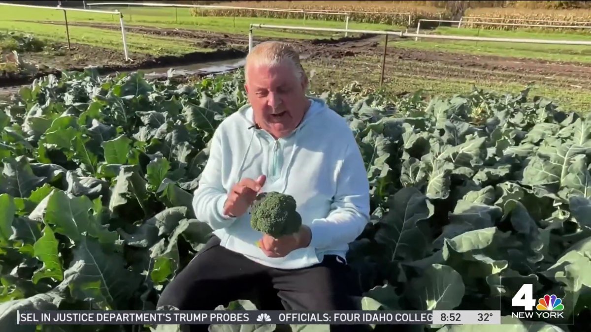 Produce Pete Perfect Thanksgiving Side Dish NBC New York