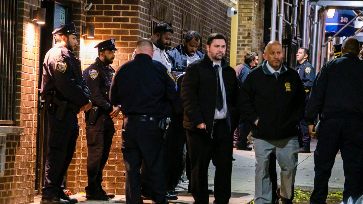 Two Young Children Fatally Stabbed; Mother in Custody: NYPD – NBC New York