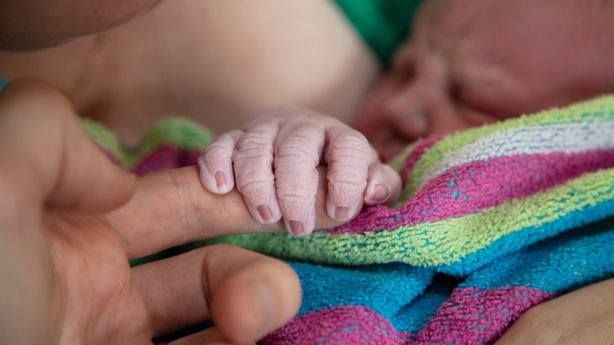 Home Births Increased in the US During COVID-19, Data Shows – NBC New York - Vimarsana News