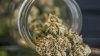 Marijuana Dispensaries Near You: First NY Pot Retail Licenses Go Out Next Week