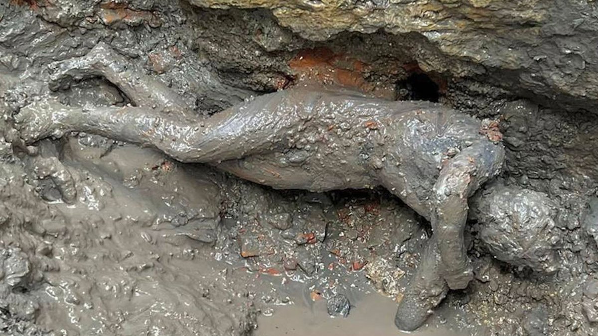Discovery of Bronzes in Italy 'Rewrites History' of Etruscan to Roman Empire – NBC New York - Vimarsana News