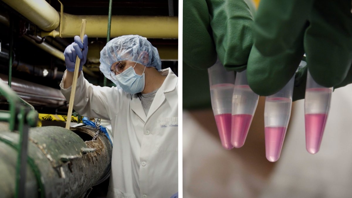 How NYC Is Using Your Toilet Water to Predict COVID, Flu Rates and More