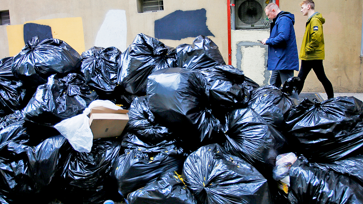 NYC's rat-fighting trash container plan could remove 150K parking spots:  report
