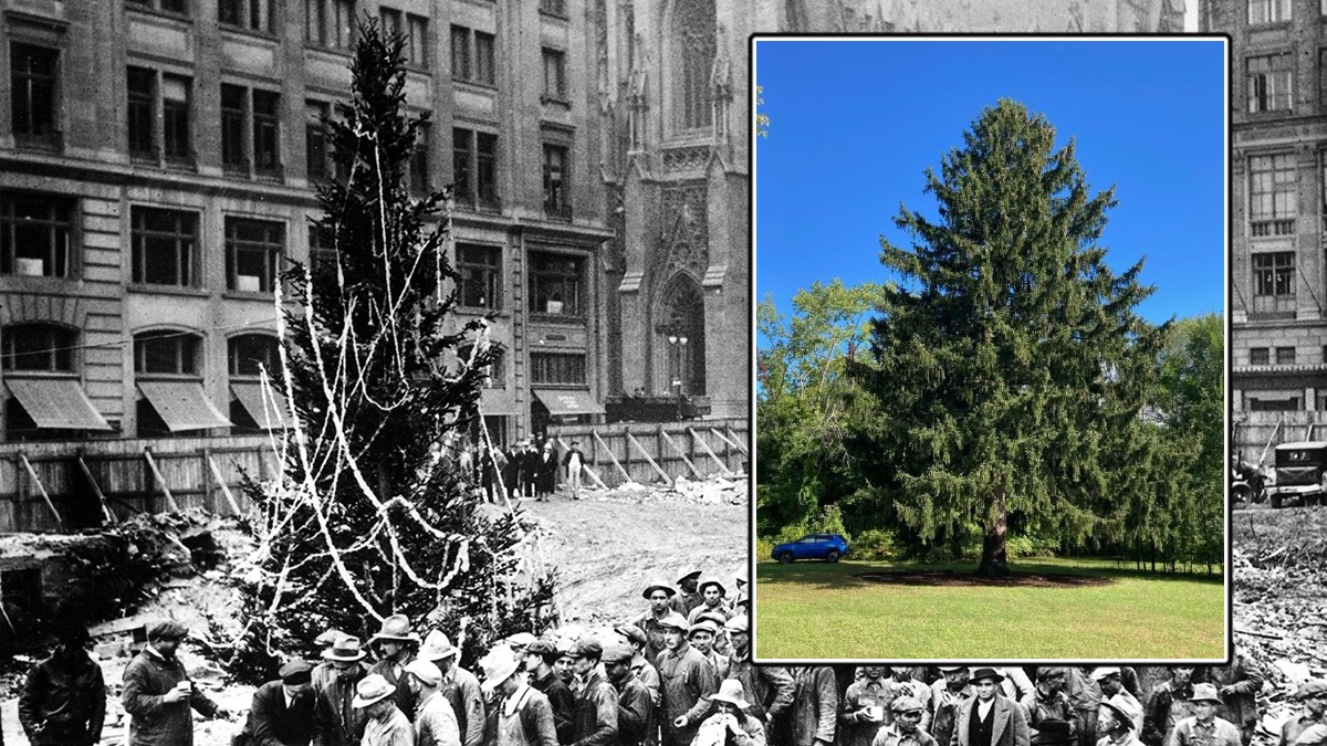 Rockefeller Center Tree When Is Tree Lighting 2022 And More Questions   Rock Center Tree 1931 To Now 