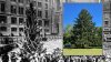 2022 Rockefeller Christmas Tree: Cutdown Date, Lighting Info and More Fun Facts