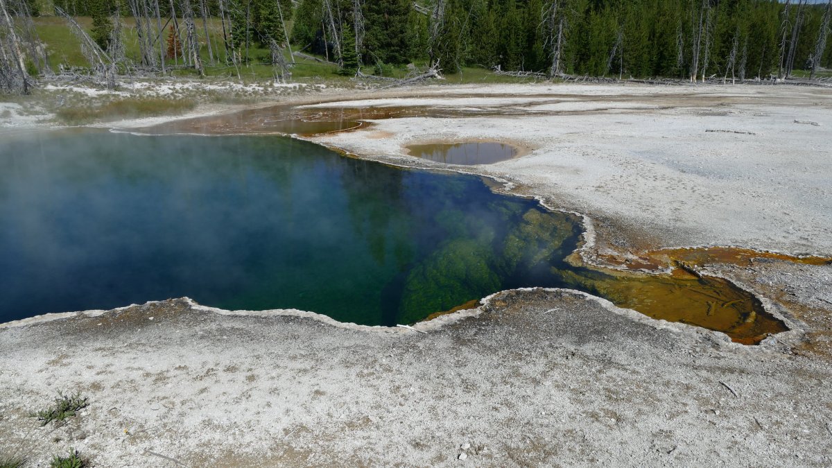 LA Man's Foot Found Floating in Yellowstone Hot Spring – NBC New York - Vimarsana News