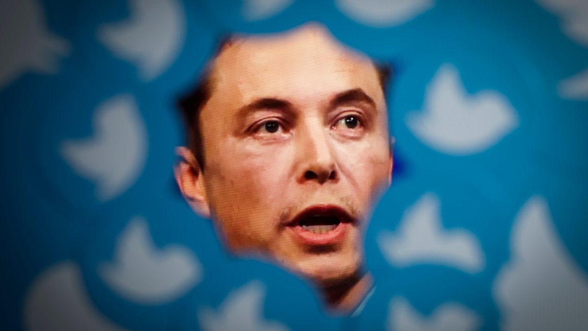 SpaceX, Tesla, and Boring Company Execs Are Helping Elon Musk at Twitter, Records Reveal - Vimarsana News
