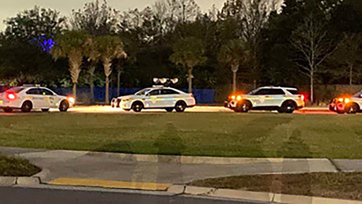 Zookeeper Injured During Bear Attack at Jacksonville Zoo – NBC New York - Vimarsana News