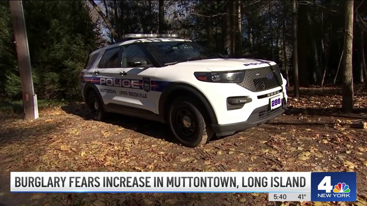 Burglary Fears Increase in Long Island Town After String of Robberies ...