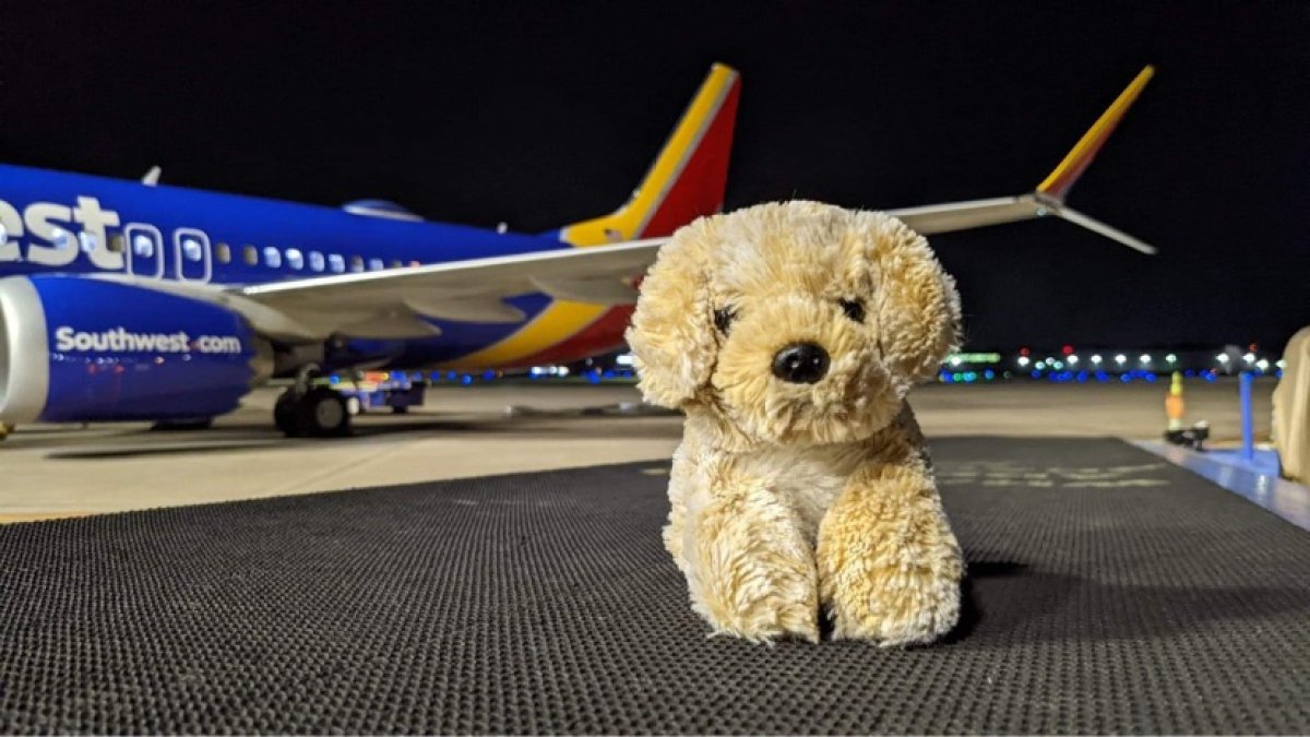 Southwest Airlines Returns Doll to Young Passenger NBC New York
