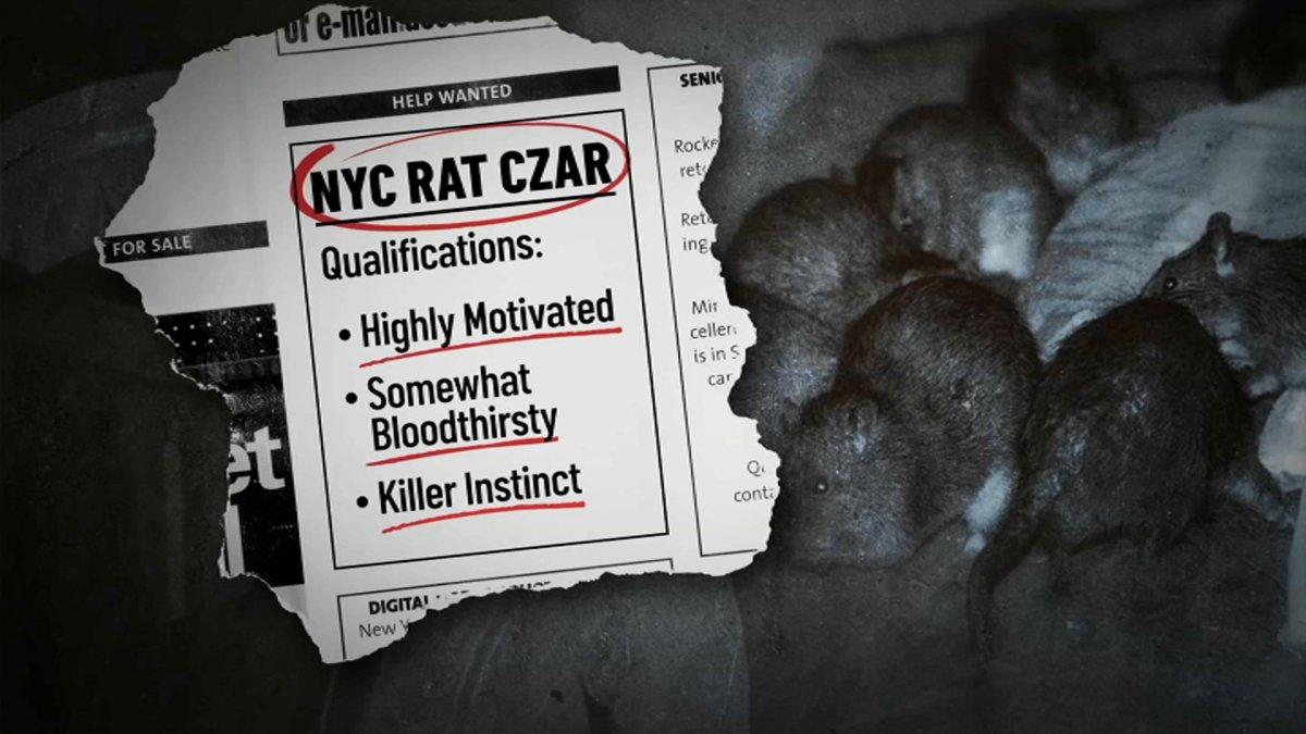 NYC Rat Czar: Meet Kathleen Corradi NBC New York