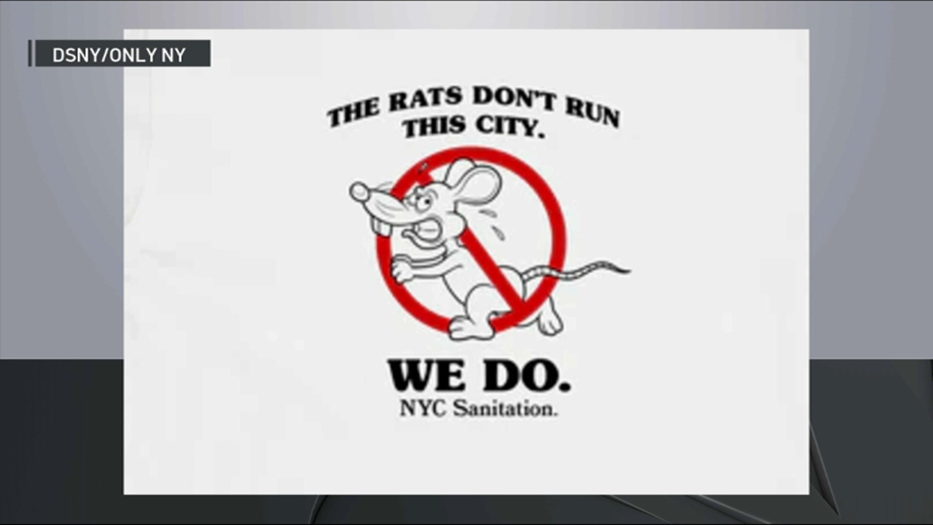 Rats Don't Run This City' T-Shirt Being Sold After Statement Goes