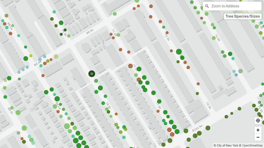 Tree Retention Map New NYC Map Has Data on Nearly 1 Million Trees – NBC New York
