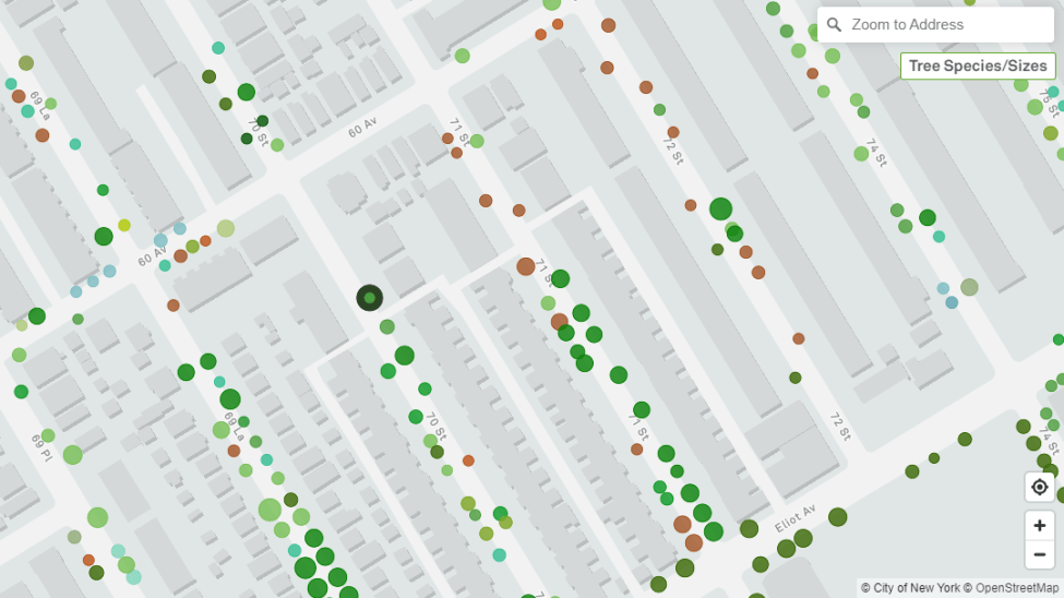 New NYC Map Has Data on Nearly 1 Million Trees – NBC New York