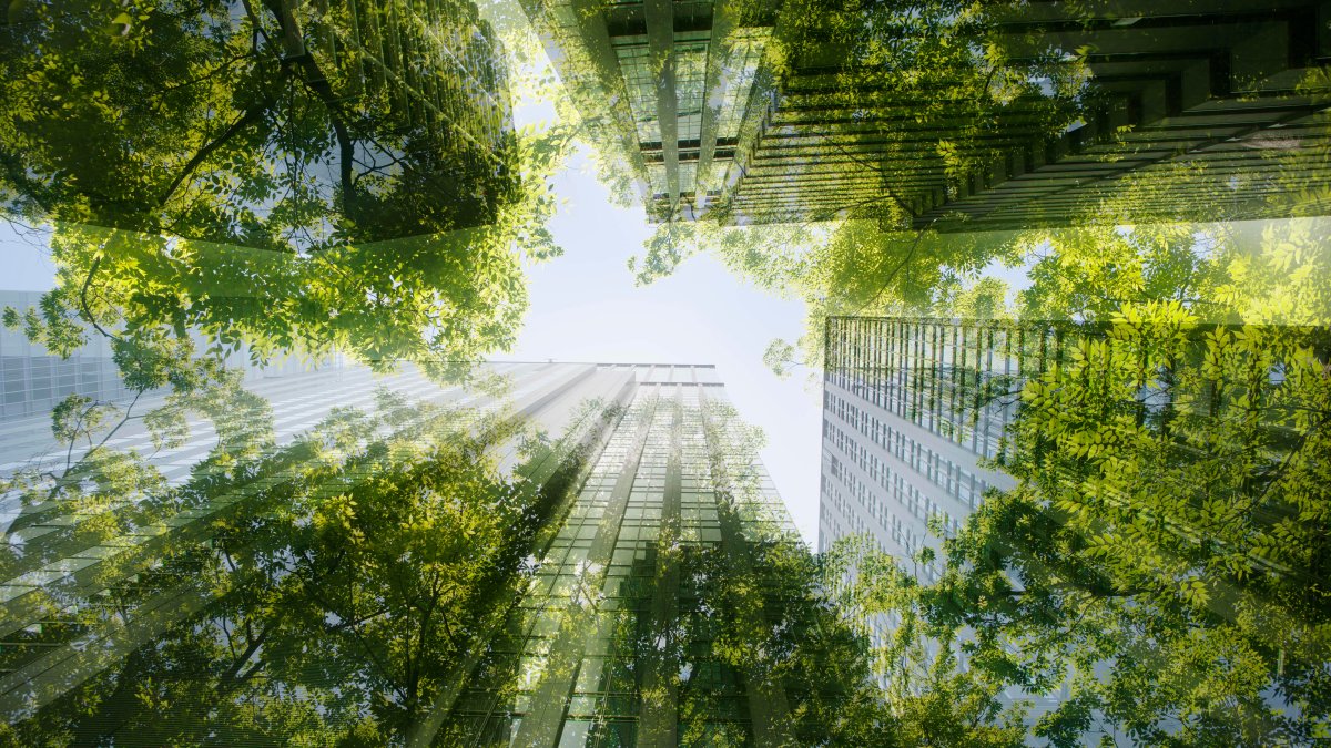 'Green' Offices in London Are Over 25% More Expensive. But a Modern Workforce Now Expects It – NBC New York - Vimarsana News