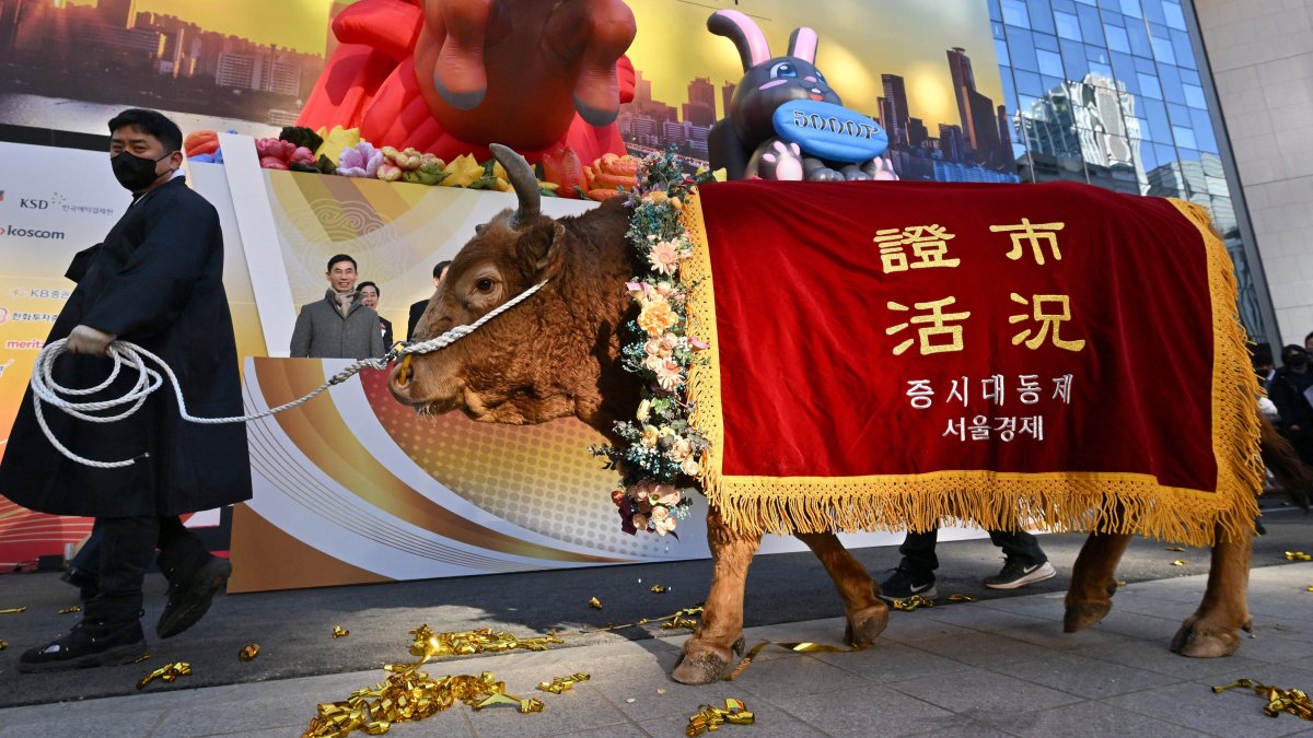 Asia-Pacific's Benchmark Index Enters a Bull Market, Thanks to China's Reopening - Vimarsana News