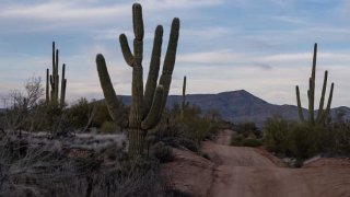 A saguaro-cactus lined road where new homes are being built in in Rio Verde Foothills, Arizona, on January 7, 2023.