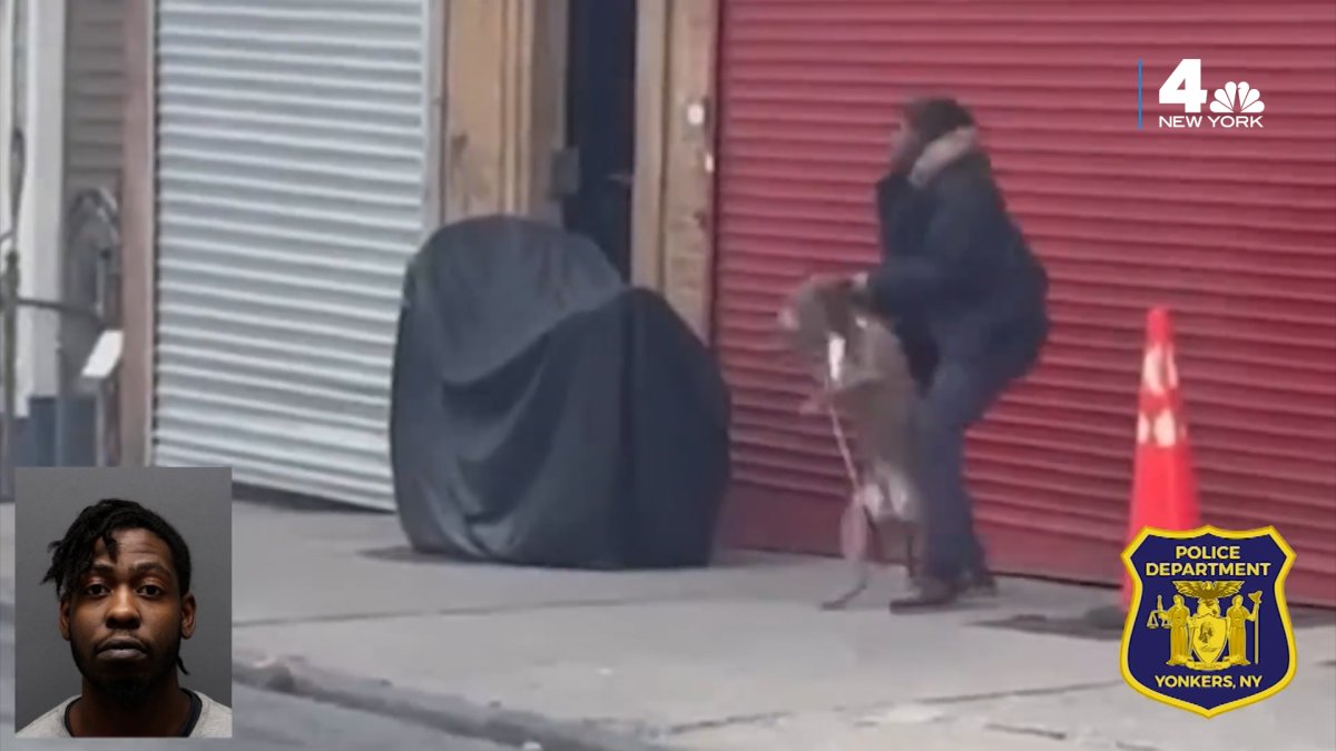 Caught on Camera Yonkers Man Arrested for Throwing Dog Into Store Gate