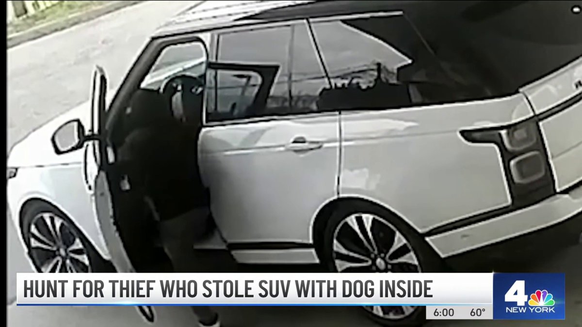 Hunt For Thief Who Stole SUV With Dog Inside – NBC New York