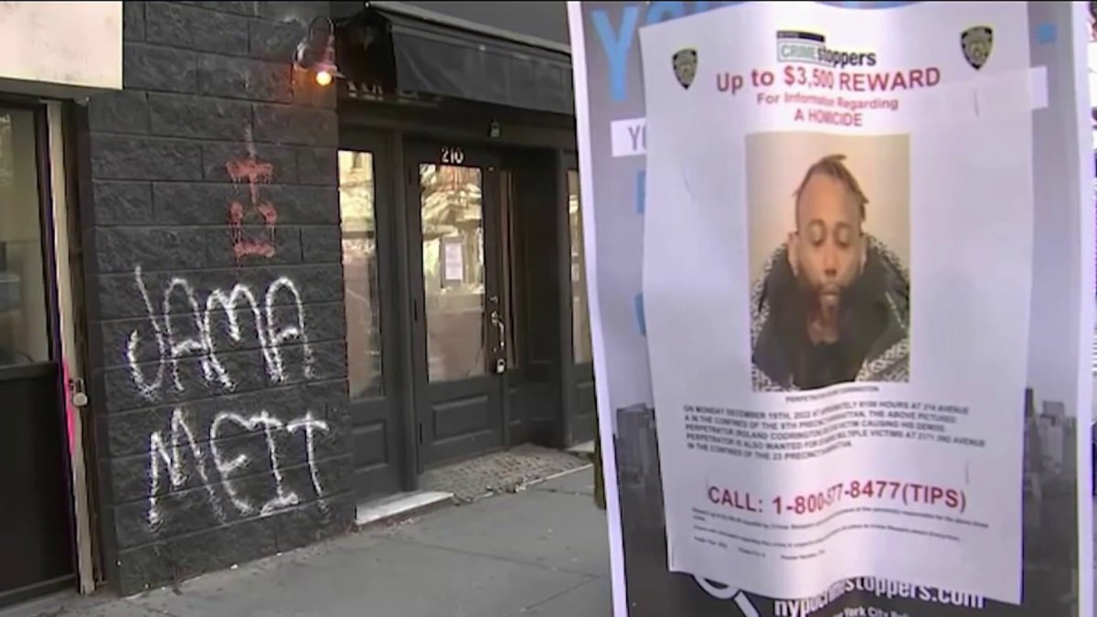 NYC Stabbing Spree Suspect Indicted and Charged With Murder – NBC New York