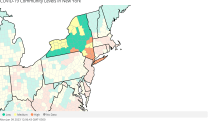 ny covid community levels