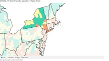 COVID community levels in ny