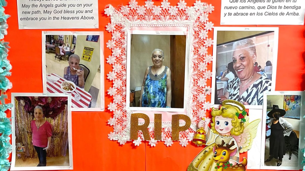 NYCHA Tests Urged After Woman's Death; Health Commissioner Refuses – NBC New York - Vimarsana News