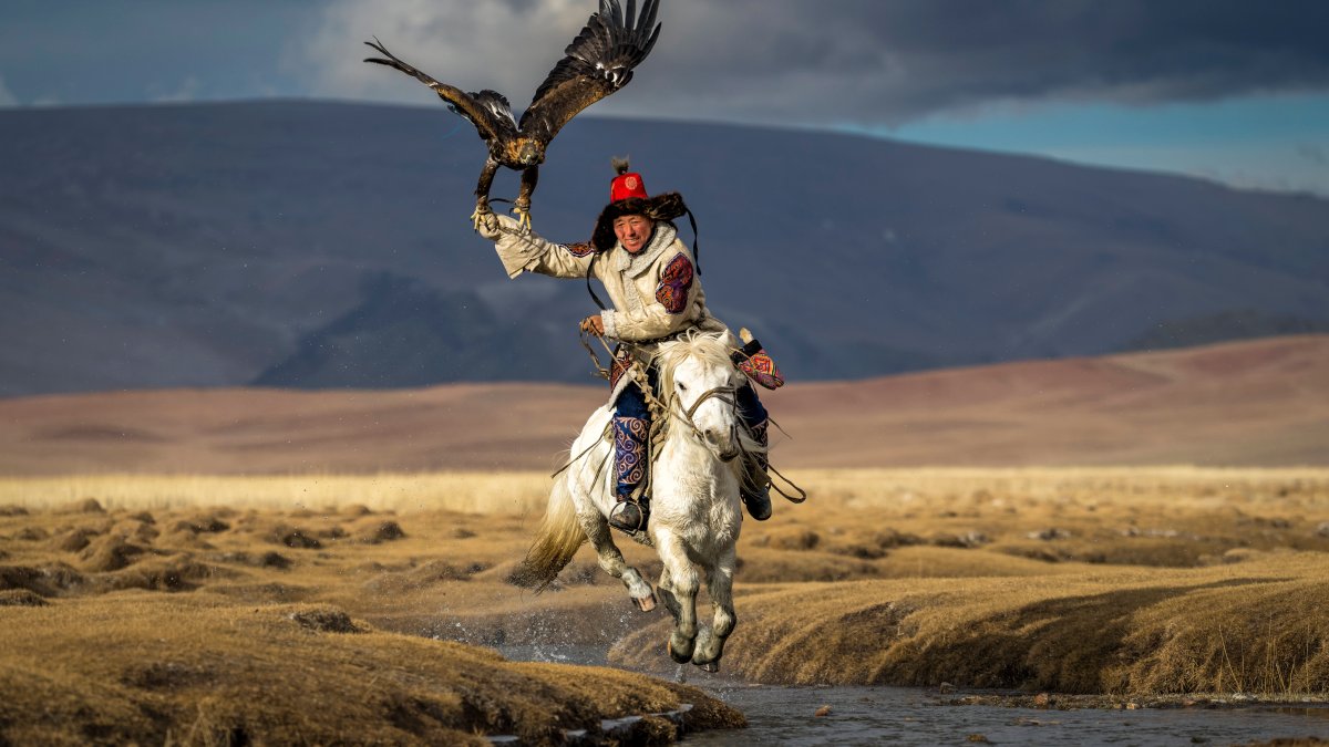See the Photos That Won National Geographic's 'Pictures of the Year' Contest – NBC New York - Vimarsana News