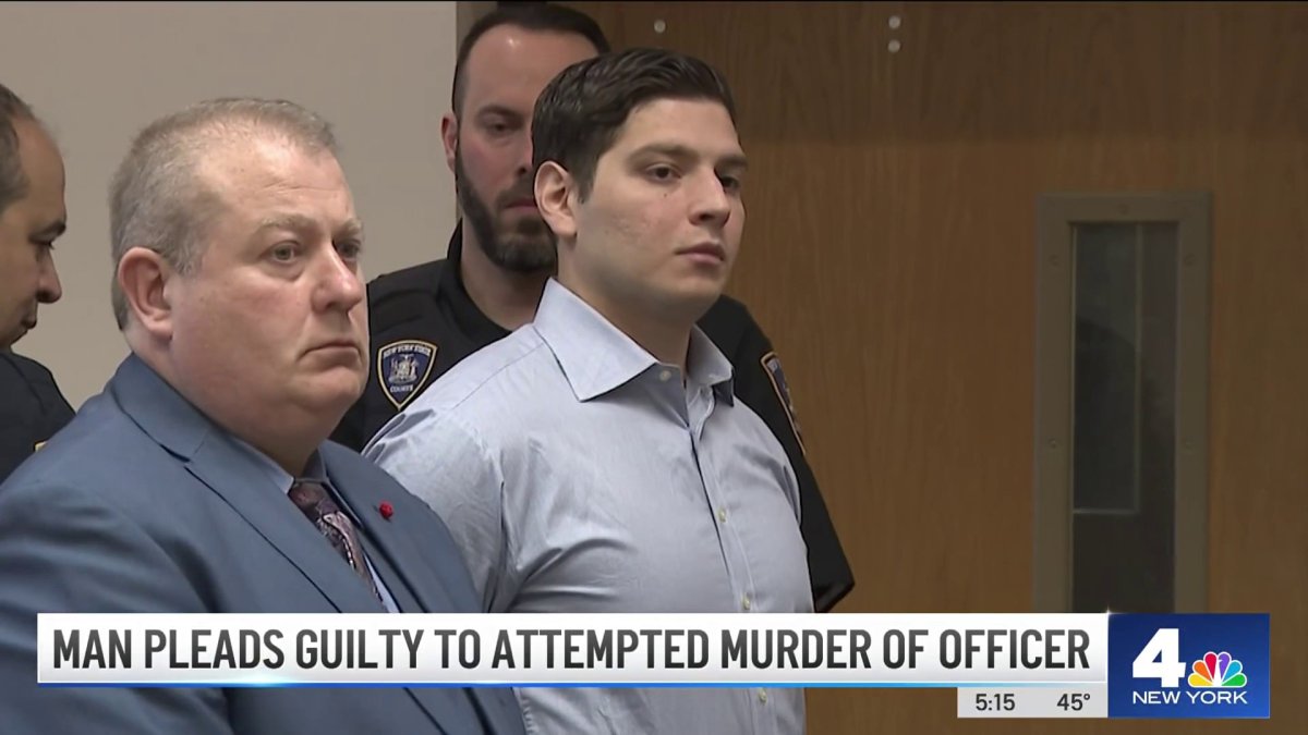 Man Pleads Guilty to Attempted Murder of Long Island Officer in Knife ...