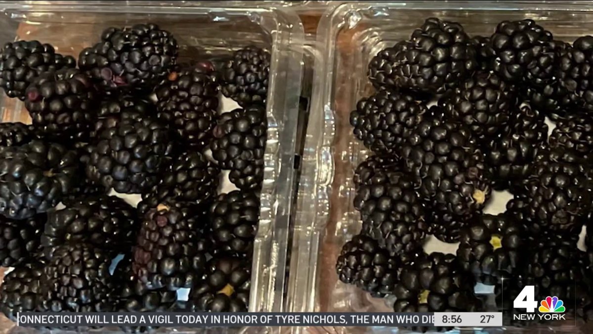Produce Pete Picking the Best Blackberries NBC New York