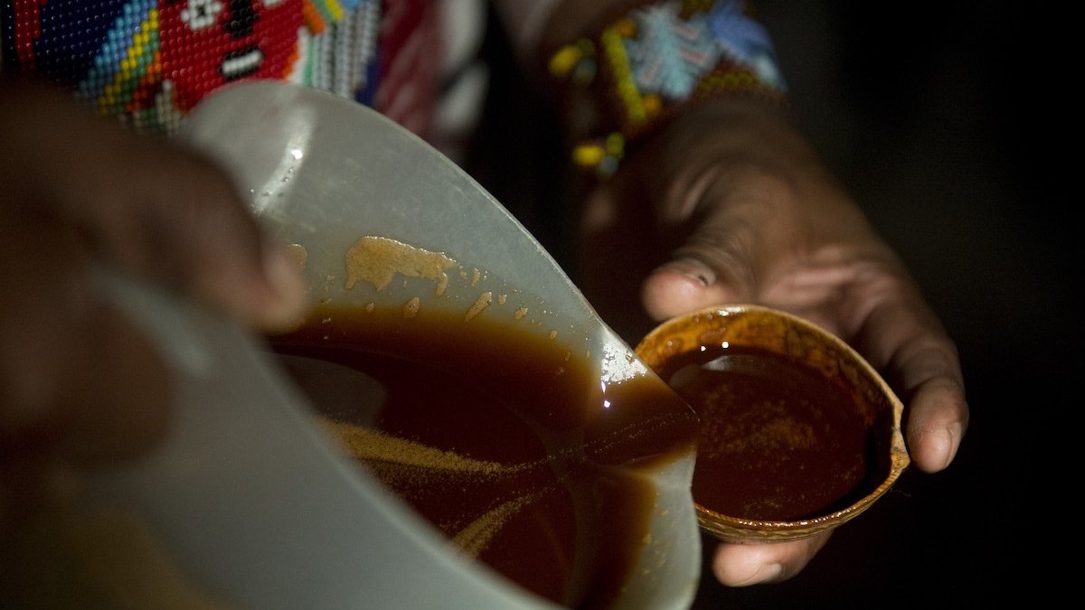 What Is Ayahuasca? Treatments, Legality, Side Effects and More – NBC New York - Vimarsana News