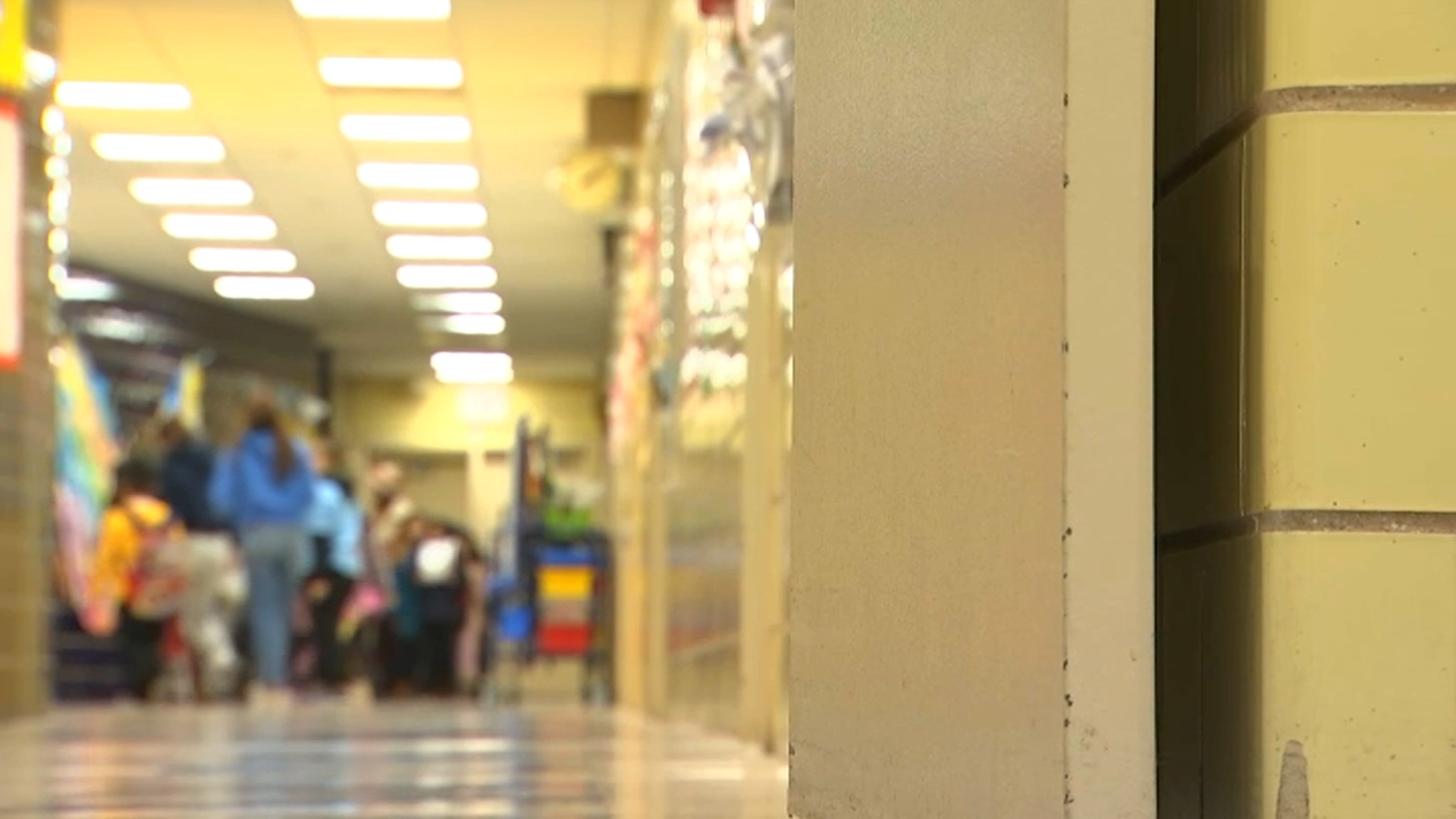 What’s Lunar New 12 months and do NYC faculties shut? What’s Lunar New 12 months and do NYC faculties shut?