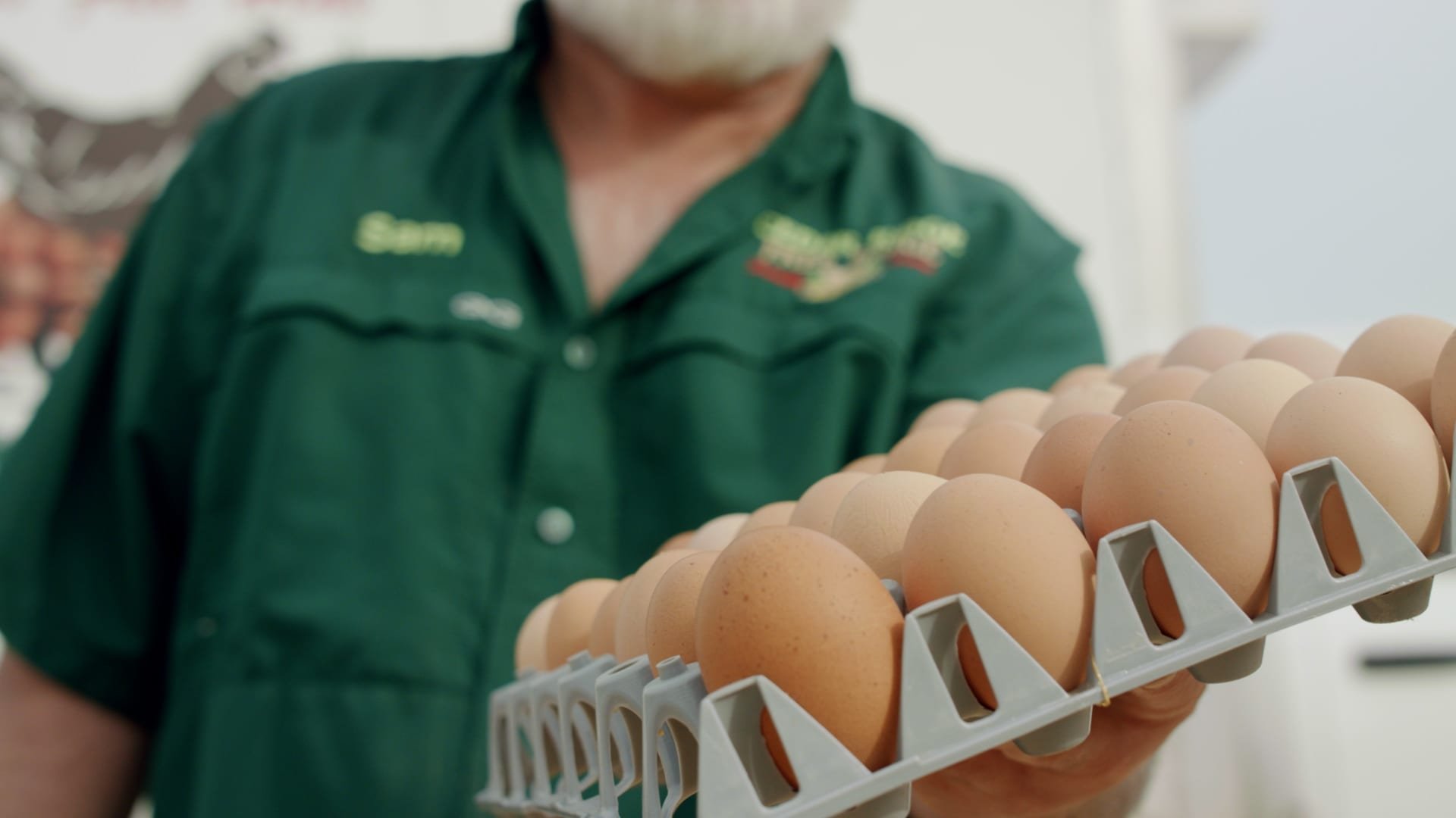 Egg Prices Increased 70% Over the Last Year—Here's Why - Vimarsana News