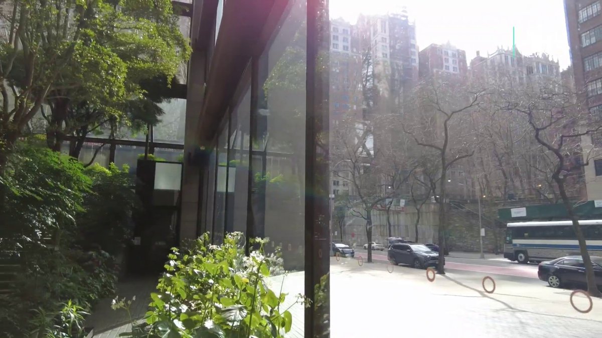 Ford Foundation Garden Hidden Green Haven in Midtown Manhattan IYKYK