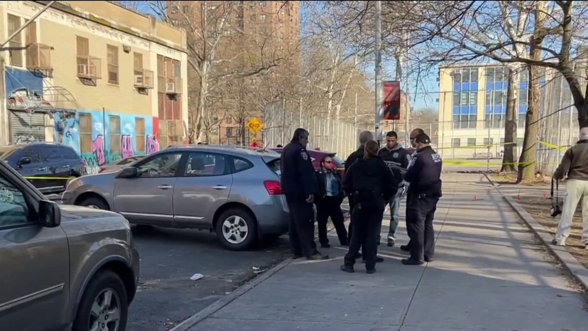 Teen Shot in Bronx Playground Was Not Believed to Be Intended Target ...