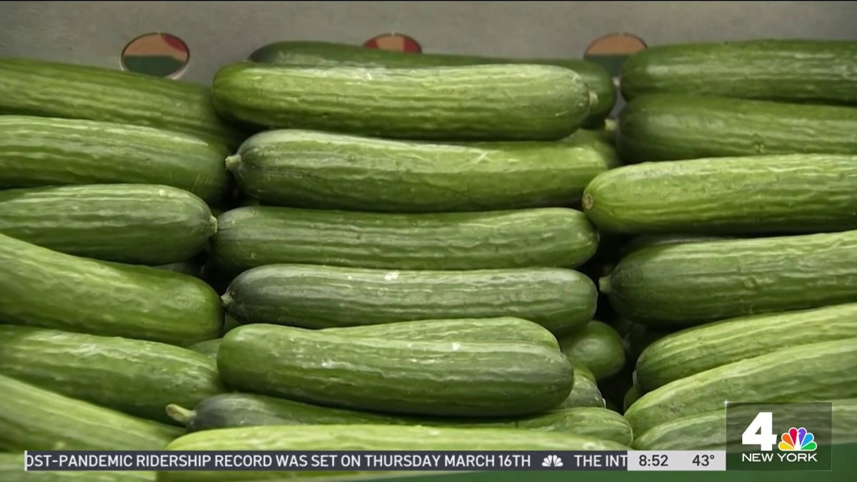 Produce Pete Picking Persian Cucumbers NBC New York