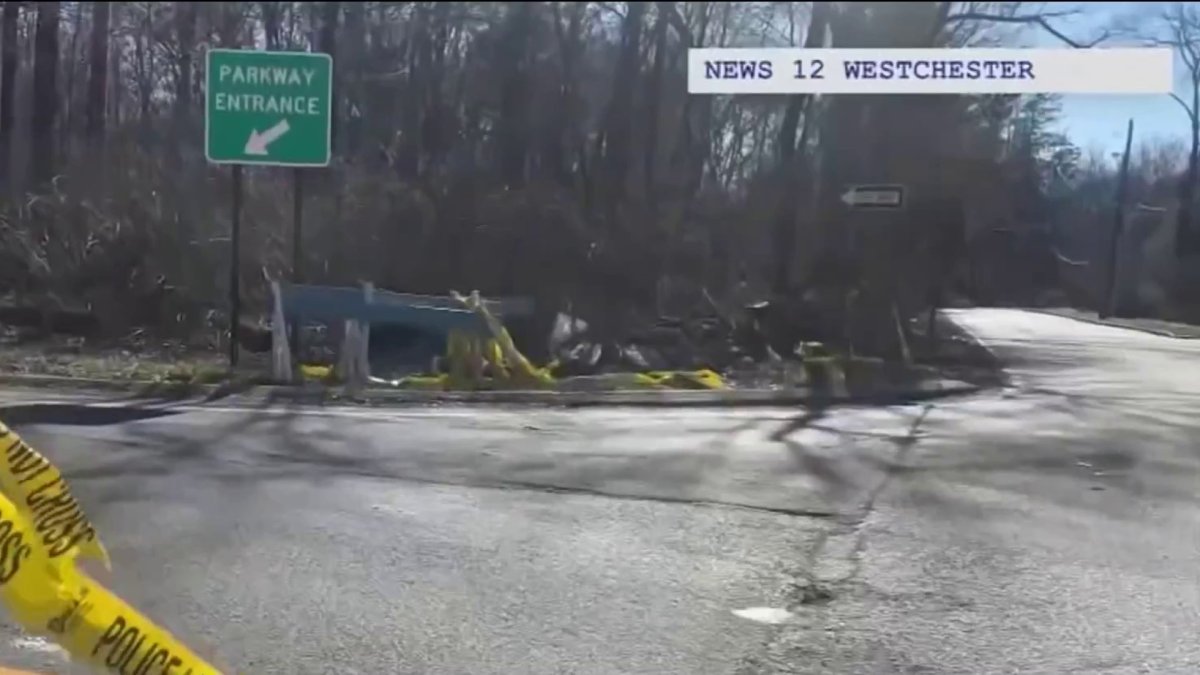 5 Children Killed in Crash on Hutchinson River Parkway NBC New York