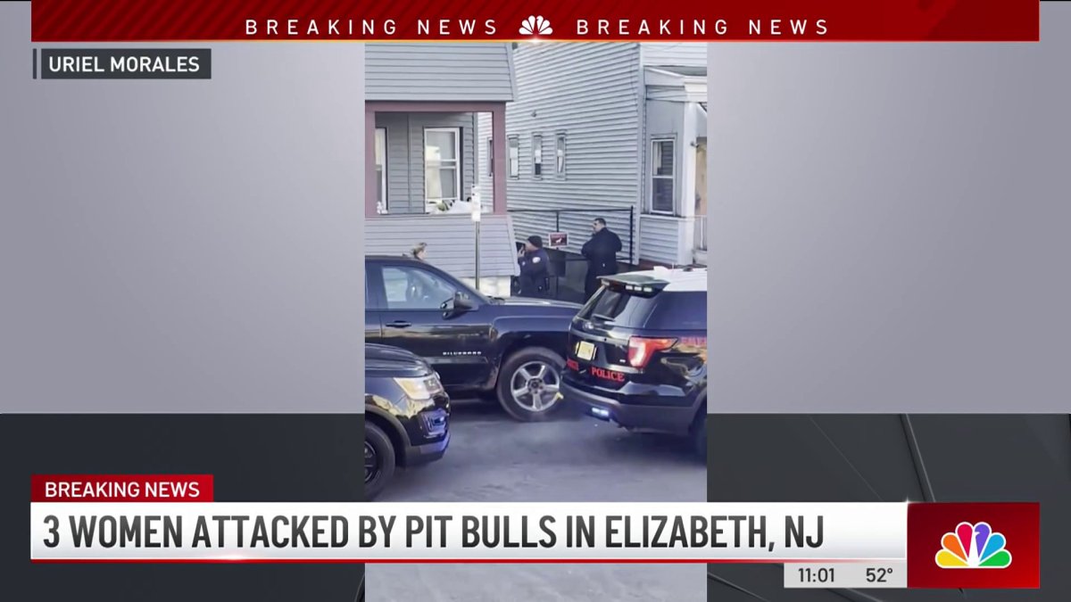 3 Women Attacked by Dogs in New Jersey – NBC New York