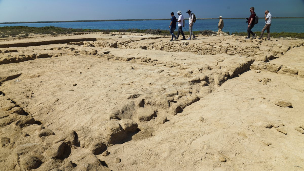 Archaeologists Find Oldest Pearl Town in Persian Gulf – NBC New York - Vimarsana News