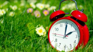 The photo is showing the clock in a floral surrounding.