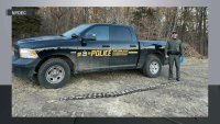 14-Foot Python Found on Side of Road on Long Island